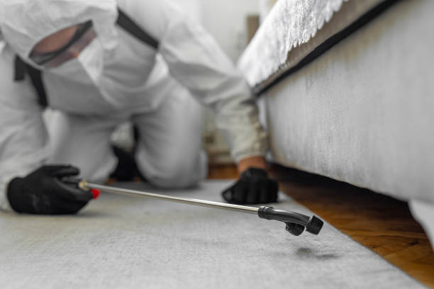 Professional Cockroach Control technician working in Hood River County County, OR